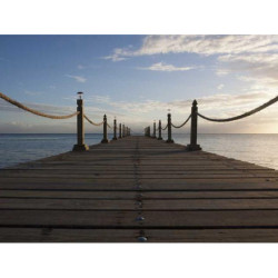 Ergonomic Silk Coat fr-FR